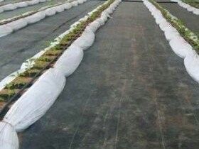 PET-geotextielstof voor drainage voor onkruidverwerking en waterretentie