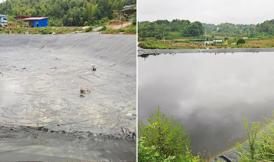 Hoogwaardig HDPE glad geomembraan met 700% verlenging bij breuk, uitstekende chemische weerstand en aanpasbare breedte voor aquacultuur