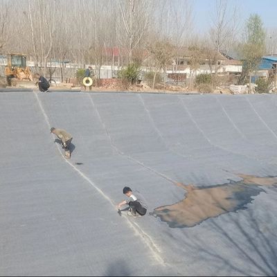 Watergeactiveerd cement geïmpregneerd stof CC 5mm-18mm Dikte 6-20kg De perfecte oplossing