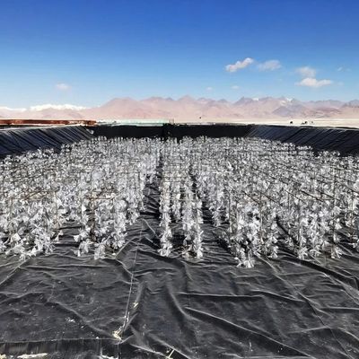 Zuur- en alkalibestendige, scheurbestendige, gladde geomembraan van HDPE voor anti-lekkerproject