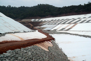 Tri-Dimension Composite Geonet 200 g/m2