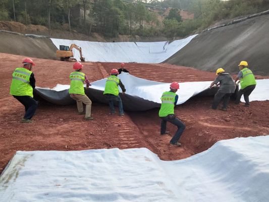 Optimale drainage 3D composiet drainage netbreedte 2m-6m treksterkte ≥16kN/m voor oppervlakte- en ondergrondse waterbeheer