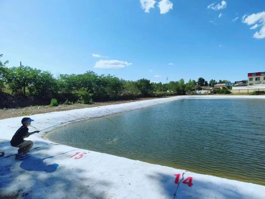 Flexibel cementdek dun duurzaam waterdicht betonnen laag voor erosiebestrijding, sloopbeveiliging, hellingsbescherming