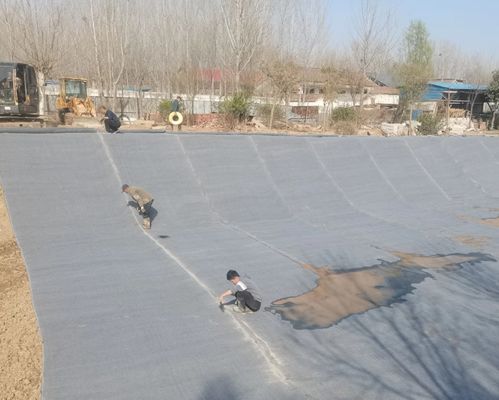 Geosynthetische deken met cement, hydrateren, verharden.