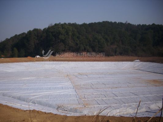 Geotextiel met korte vezels: de kosteneffectieve en veelzijdige technische oplossing