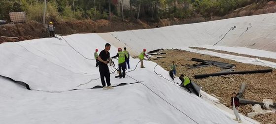 Eco-Friendly Polypropylene Geotextile with UV Resistance and High Water Permeability for Mine Vegetation Restoration