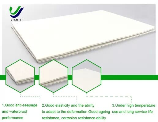 0.2 mm-1.0 mm dik HDPE geocomposites membraan met 1G1M & 2G1M configuraties voor project anti-seepage